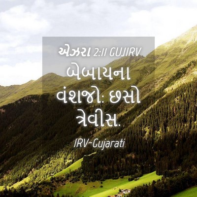 Picture 04 - એઝરા 2:11 GUJIRV - બેબાયના વંશજો: છસો - Bible Verse Picture