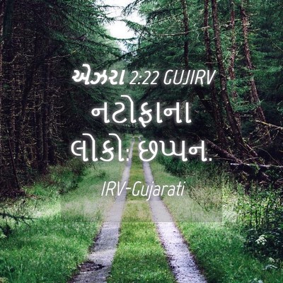 Picture 04 - એઝરા 2:22 GUJIRV - નટોફાના લોકો: - Bible Verse Picture