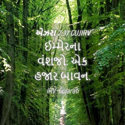Picture 04 - એઝરા 2:37 GUJIRV - ઈમ્મેરના વંશજો: એક - Bible Verse Picture
