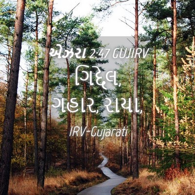 Picture 04 - એઝરા 2:47 GUJIRV - ગિદ્દેલ, ગહાર, - Bible Verse Picture
