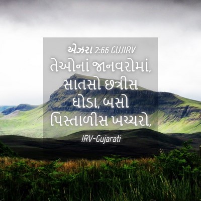 Picture 04 - એઝરા 2:66 GUJIRV - તેઓનાં જાનવરોમાં, - Bible Verse Picture