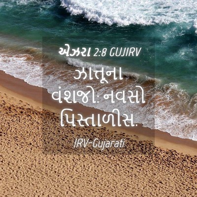 Picture 04 - એઝરા 2:8 GUJIRV - ઝાત્તૂના વંશજો: - Bible Verse Picture