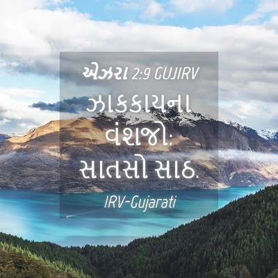 Picture 04 - એઝરા 2:9 GUJIRV - ઝાકકાયના વંશજો: - Bible Verse Picture