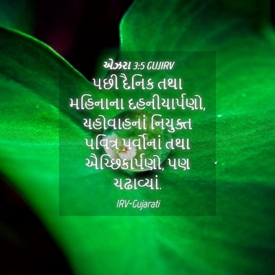 Picture 04 - એઝરા 3:5 GUJIRV - પછી દૈનિક તથા - Bible Verse Picture