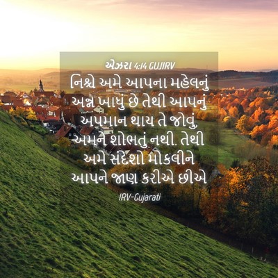 Picture 04 - એઝરા 4:14 GUJIRV - નિશ્ચે અમે આપના - Bible Verse Picture