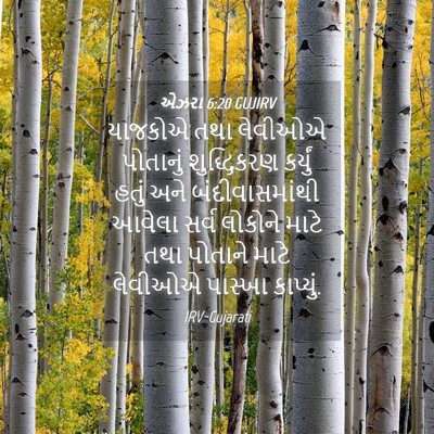 Picture 04 - એઝરા 6:20 GUJIRV - યાજકોએ તથા લેવીઓએ - Bible Verse Picture