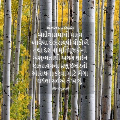 Picture 04 - એઝરા 6:21 GUJIRV - બંદીવાસમાંથી પાછા - Bible Verse Picture
