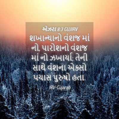 Picture 04 - એઝરા 8:3 GUJIRV - શખાન્યાનો વંશજ - Bible Verse Picture