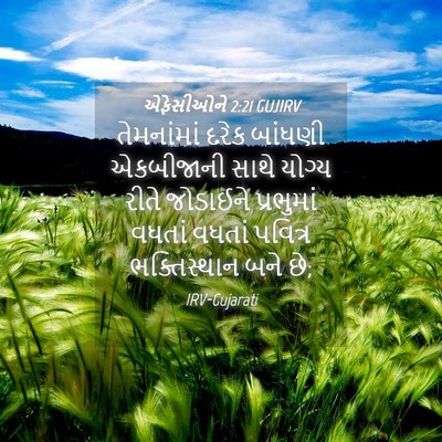 Picture 04 - એફેસીઓને 2:21 GUJIRV - તેમનાંમાં દરેક - Bible Verse Picture