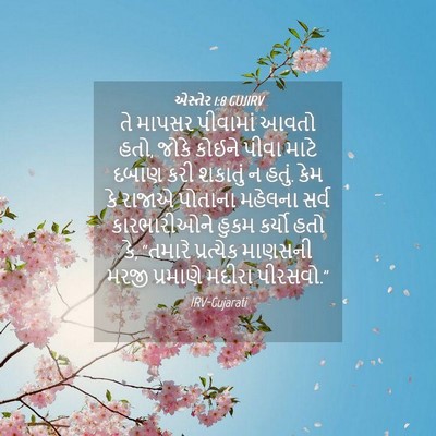 Picture 04 - એસ્તેર 1:8 GUJIRV - તે માપસર પીવામાં - Bible Verse Picture