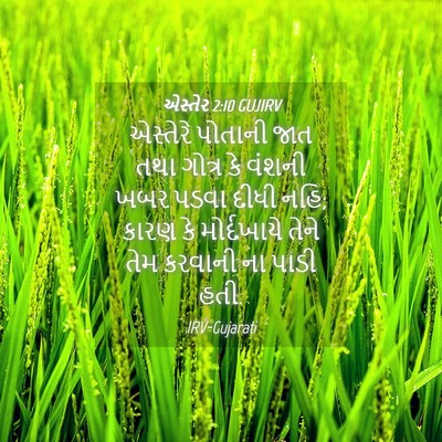 Picture 04 - એસ્તેર 2:10 GUJIRV - એસ્તેરે પોતાની - Bible Verse Picture