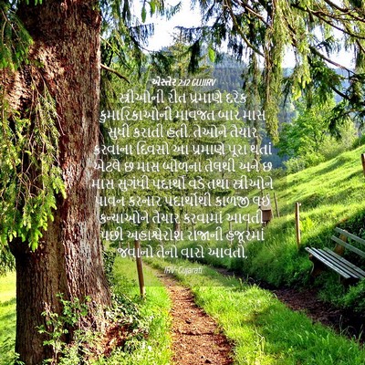 Picture 04 - એસ્તેર 2:12 GUJIRV - સ્ત્રીઓની રીત - Bible Verse Picture