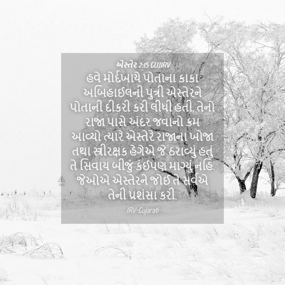 Picture 04 - એસ્તેર 2:15 GUJIRV - હવે મોર્દખાયે - Bible Verse Picture