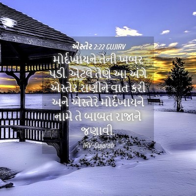 Picture 04 - એસ્તેર 2:22 GUJIRV - મોર્દખાયને તેની - Bible Verse Picture