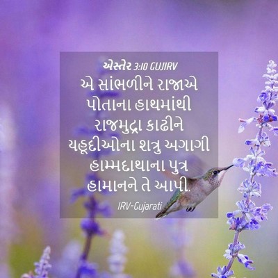 Picture 04 - એસ્તેર 3:10 GUJIRV - એ સાંભળીને રાજાએ - Bible Verse Picture