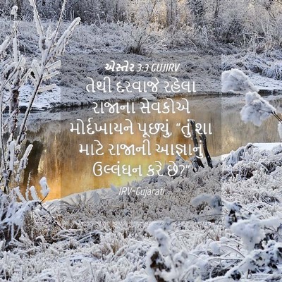 Picture 04 - એસ્તેર 3:3 GUJIRV - તેથી દરવાજે રહેલા - Bible Verse Picture