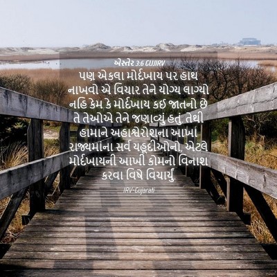 Picture 04 - એસ્તેર 3:6 GUJIRV - પણ એકલા મોર્દખાય - Bible Verse Picture