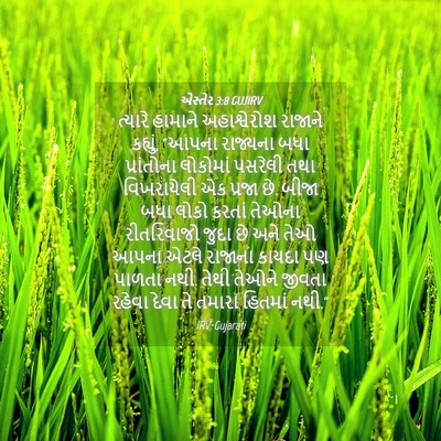 Picture 04 - એસ્તેર 3:8 GUJIRV - ત્યારે હામાને - Bible Verse Picture
