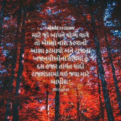 Picture 04 - એસ્તેર 3:9 GUJIRV - માટે જો આપને યોગ્ય - Bible Verse Picture