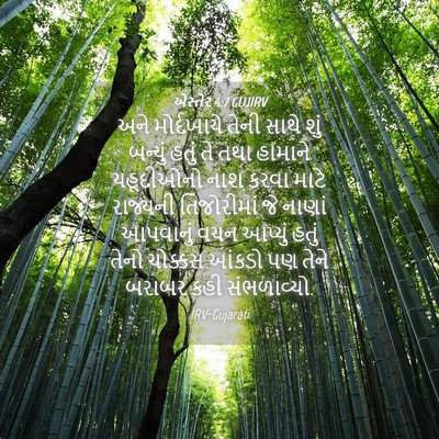 Picture 04 - એસ્તેર 4:7 GUJIRV - અને મોર્દખાયે - Bible Verse Picture