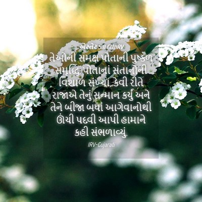 Picture 04 - એસ્તેર 5:11 GUJIRV - તેઓની સમક્ષ - Bible Verse Picture