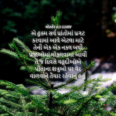 Picture 04 - એસ્તેર 8:13 GUJIRV - એ હુકમ સર્વ - Bible Verse Picture