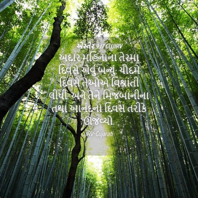 Picture 04 - એસ્તેર 9:17 GUJIRV - અદાર મહિનાના - Bible Verse Picture