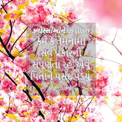 Picture 04 - ક્લોસ્સીઓને 1:19 GUJIRV - કેમ કે તેમનાંમાં - Bible Verse Picture