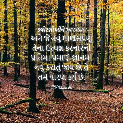 Picture 04 - ક્લોસ્સીઓને 3:10 GUJIRV - અને જે નવું - Bible Verse Picture