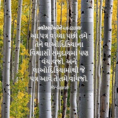 Picture 04 - ક્લોસ્સીઓને 4:16 GUJIRV - આ પત્ર વાંચ્યા પછી - Bible Verse Picture