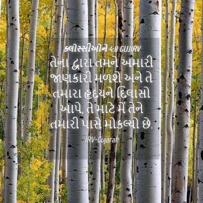 Picture 04 - ક્લોસ્સીઓને 4:8 GUJIRV - તેના દ્વારા તમને - Bible Verse Picture