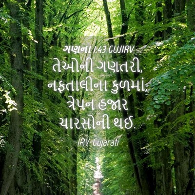 Picture 04 - ગણના 1:43 GUJIRV - તેઓની ગણતરી, - Bible Verse Picture