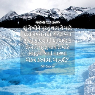 Picture 04 - ગણના 11:22 GUJIRV - શું તેઓને પૂરતું - Bible Verse Picture