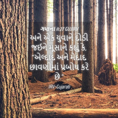 Picture 04 - ગણના 11:27 GUJIRV - અને એક યુવાને દોડી - Bible Verse Picture
