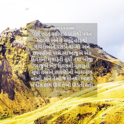 Picture 04 - ગણના 11:31 GUJIRV - પછી તરત યહોવાહ - Bible Verse Picture