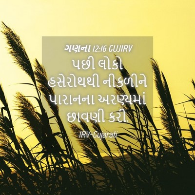 Picture 04 - ગણના 12:16 GUJIRV - પછી લોકો હસેરોથથી - Bible Verse Picture