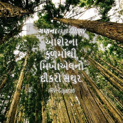 Picture 04 - ગણના 13:13 GUJIRV - આશેરના કુળમાંથી, - Bible Verse Picture