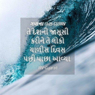 Picture 04 - ગણના 13:25 GUJIRV - તે દેશની જાસૂસી - Bible Verse Picture