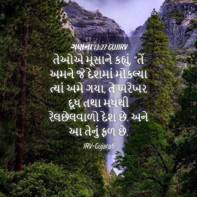 Picture 04 - ગણના 13:27 GUJIRV - તેઓએ મૂસાને - Bible Verse Picture