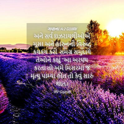 Picture 04 - ગણના 14:2 GUJIRV - અને સર્વ - Bible Verse Picture