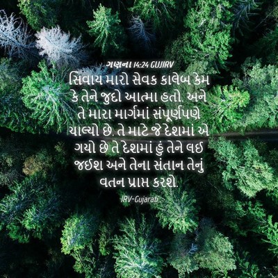 Picture 04 - ગણના 14:24 GUJIRV - સિવાય મારો સેવક - Bible Verse Picture
