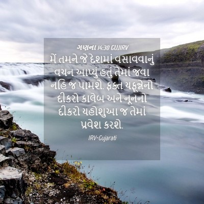Picture 04 - ગણના 14:30 GUJIRV - મેં તમને જે દેશમાં - Bible Verse Picture