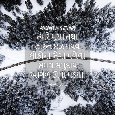 Picture 04 - ગણના 14:5 GUJIRV - ત્યારે મૂસા તથા - Bible Verse Picture