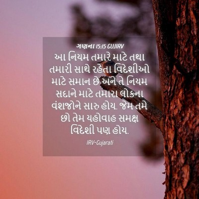 Picture 04 - ગણના 15:15 GUJIRV - આ નિયમ તમારે માટે - Bible Verse Picture