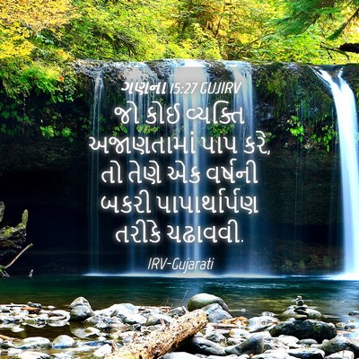 Picture 04 - ગણના 15:27 GUJIRV - જો કોઈ વ્યક્તિ - Bible Verse Picture