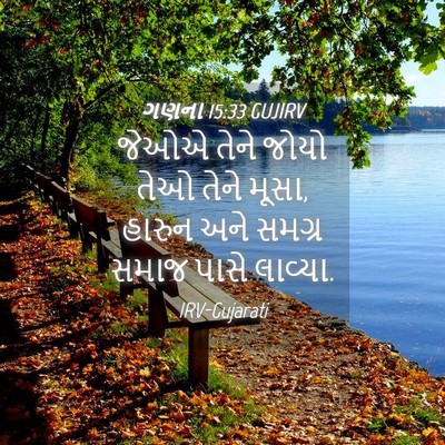 Picture 04 - ગણના 15:33 GUJIRV - જેઓએ તેને જોયો તેઓ - Bible Verse Picture