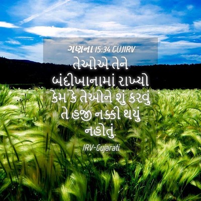 Picture 04 - ગણના 15:34 GUJIRV - તેઓએ તેને - Bible Verse Picture