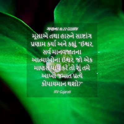Picture 04 - ગણના 16:22 GUJIRV - મૂસાએ તથા હારુને - Bible Verse Picture