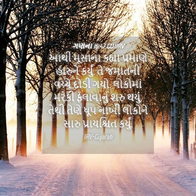 Picture 04 - ગણના 16:47 GUJIRV - આથી મૂસાના કહ્યા - Bible Verse Picture