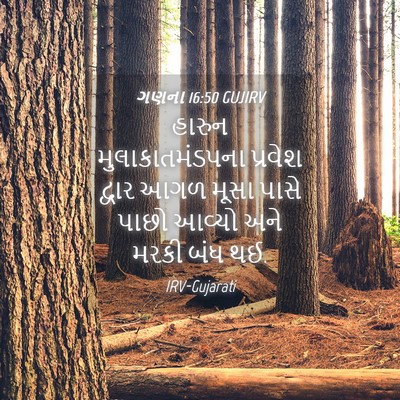 Picture 04 - ગણના 16:50 GUJIRV - હારુન - Bible Verse Picture